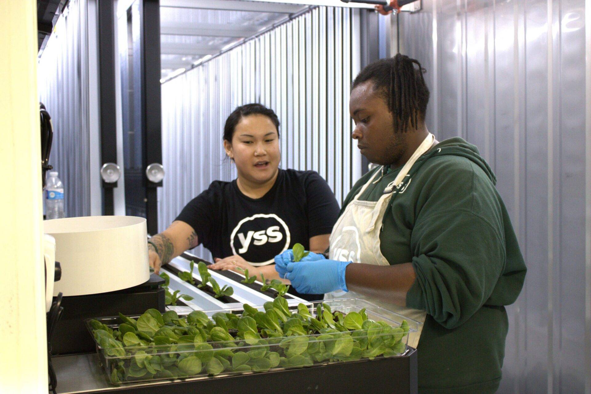 YSS Rooftop Gardens Image