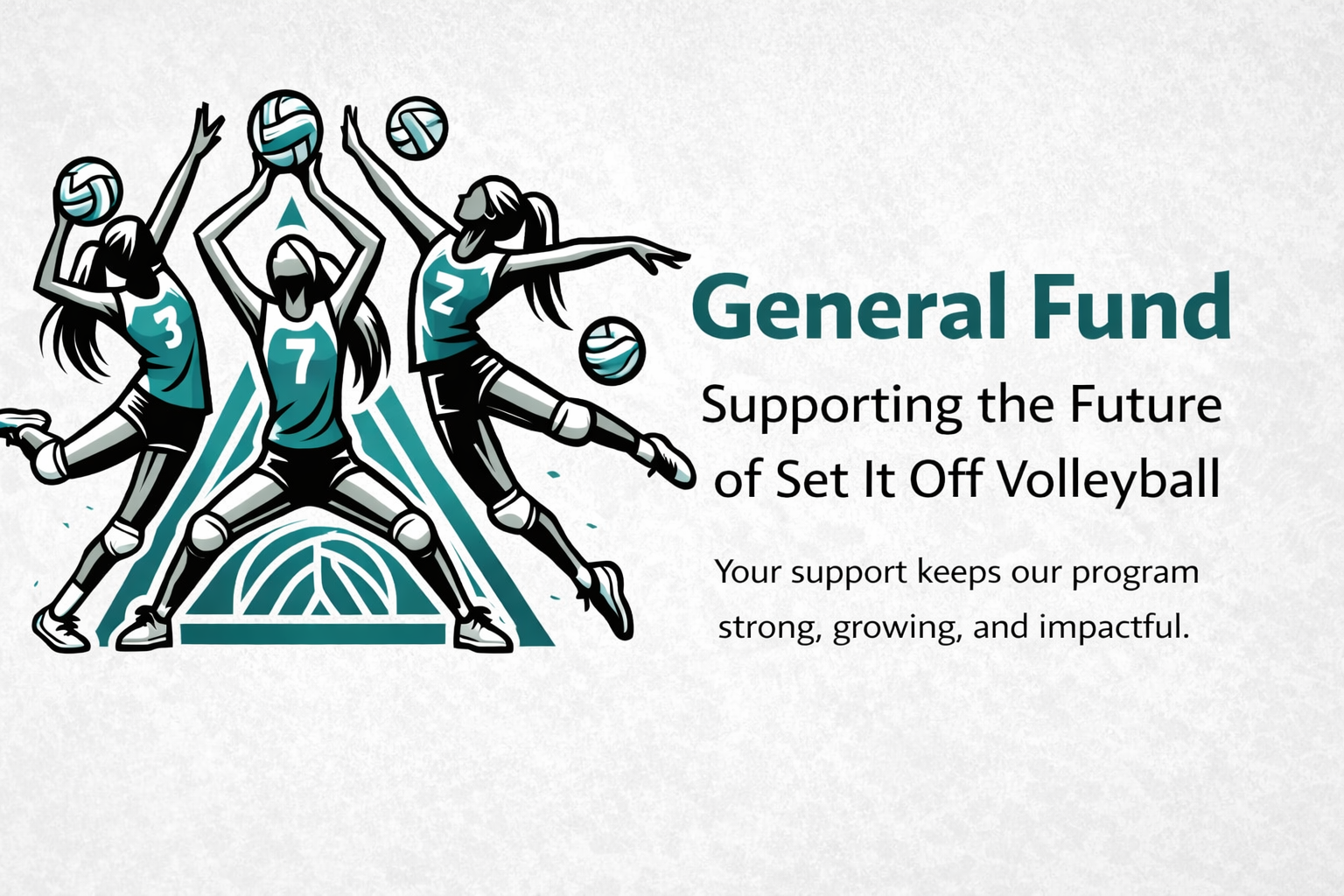 Supporting the Future of Youth Volleyball Image