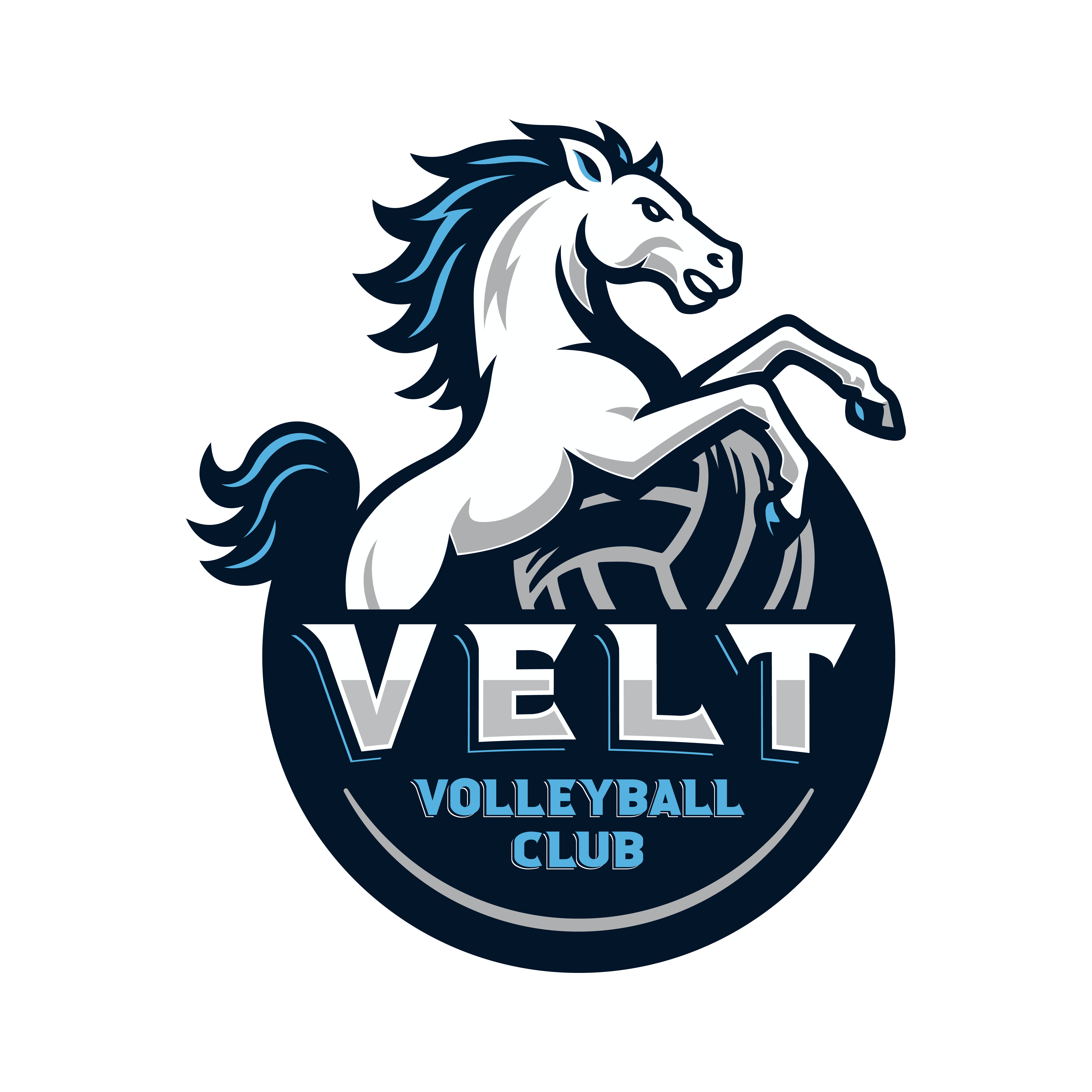 Velt Volleyball Club Image