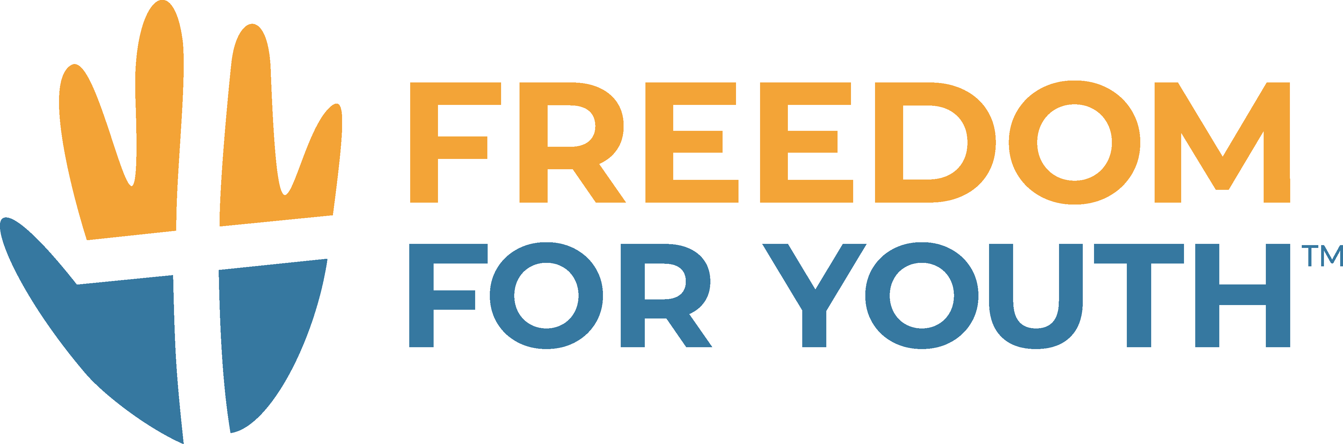 Freedom for Youth Ministries Image
