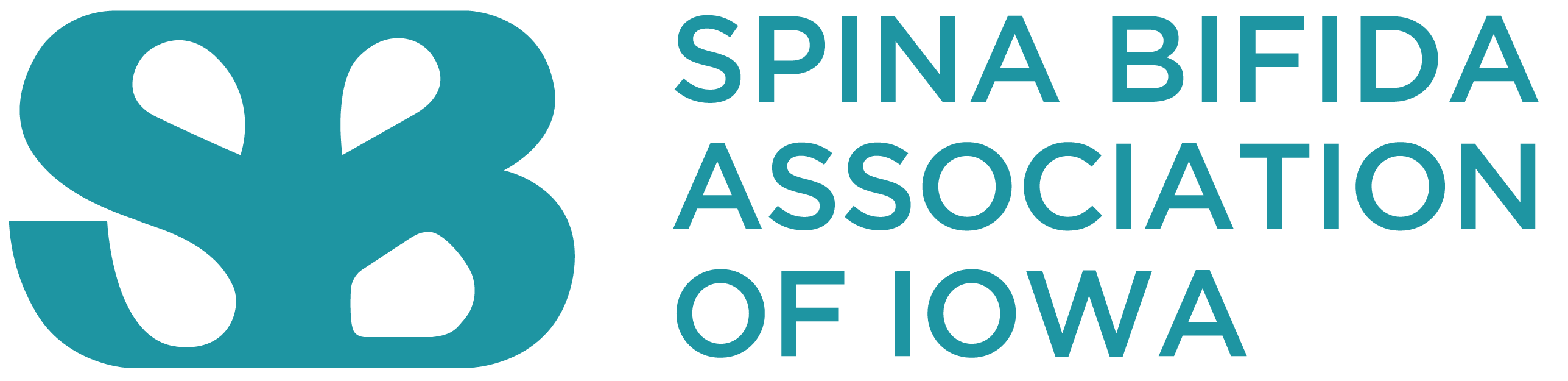 Spina Bifida Association of Iowa Image